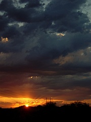 DSCN1373