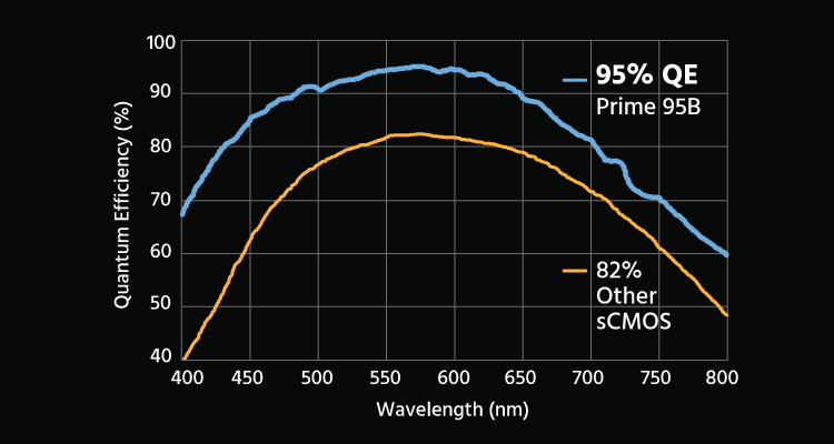 95% QE SCMOS vs. EMCCD