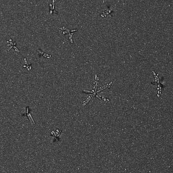 Example of ice on a sensor. This is what a typical low temperature camera will produce when active, and when a seal is broken. condensation freezes due to the low sensor temp, producing images which look like crystals, or water droplets at lower temps.